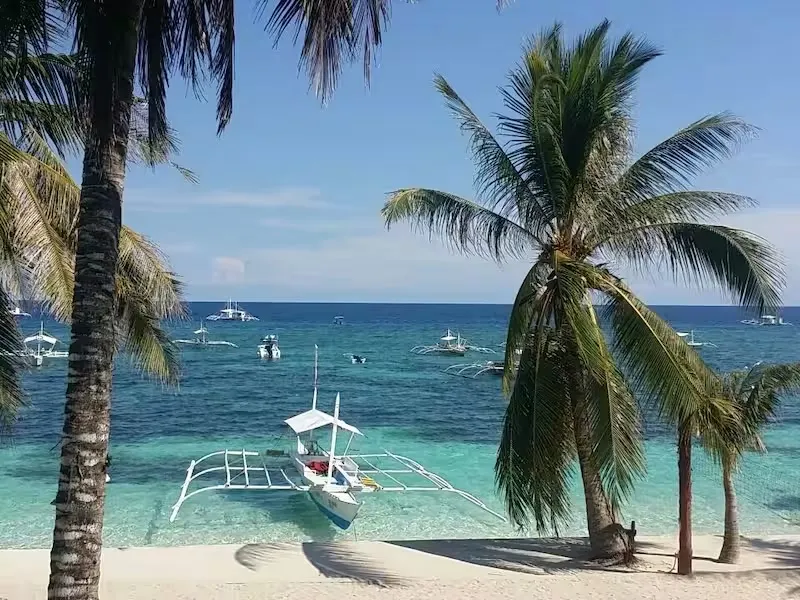 A bangka outrigger boat moored off a palm-lined white-sand beach on Panglao